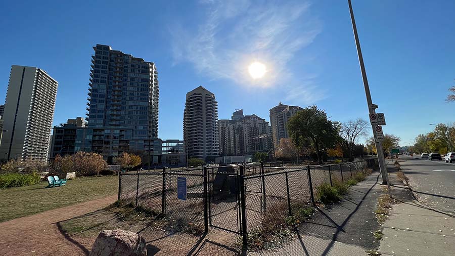 Photo of Bowforth off-leash dog park .