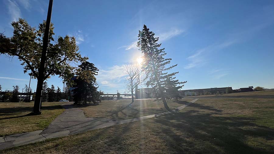 Photo of sunalta's off-leash dog area.